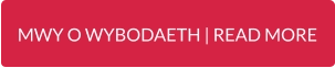 MWY O WYBODAETH | READ MORE