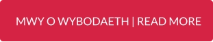 MWY O WYBODAETH | READ MORE