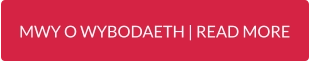 MWY O WYBODAETH | READ MORE