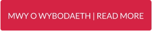 MWY O WYBODAETH | READ MORE
