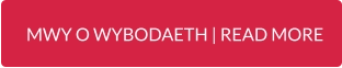 MWY O WYBODAETH | READ MORE