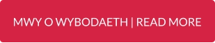 MWY O WYBODAETH | READ MORE